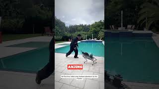 Robot anjing senilai 100000 ishowspeed shorts feedshorts ishospeed robot [upl. by Emmet]