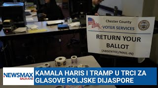 Kako poljska dijaspora utiče na američke predsedničke izbore [upl. by Doll]