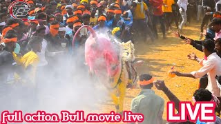 Ts Bulls Live Stream Hori HABBA live ಹೋರಿ ಹಬ್ಬ ನೇರಾ ಪ್ರಸಾರ [upl. by Llerrod]