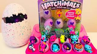 Hatchimals CollEGGtibles 1 season Хетчималс Amina открывает Яйцо [upl. by Reyaht]