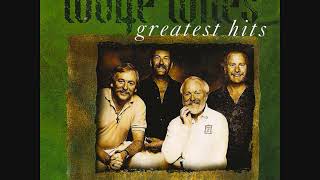 The Wolfe Tones  Greatest Hits  Full Album irishrebelmusic [upl. by Parsifal]