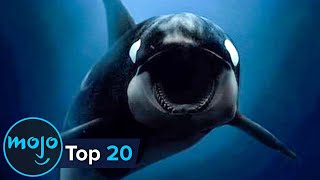 Top 20 Documentary Films of the Century So Far [upl. by Artaed]