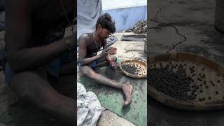 Sparkling Electric stones Crackers 🎇 diwali diwalicrackers sivakasi festival fireworks [upl. by Aerdnu]