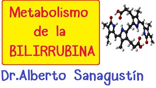 METABOLISMO DE LA BILIRRUBINA Fisiología [upl. by Nika901]