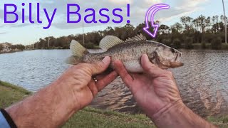 Hooking Billy Bass With A Fly [upl. by Lemon]