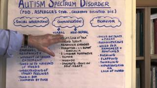 What Is Autism Spectrum Disorder [upl. by Kimon935]