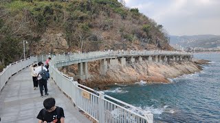 鹽田海鮮街 海濱棧道 大梅沙 奧特萊斯購物村 棲息圖書館 [upl. by Ablasor969]