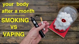 How Smoking vs Vaping Affects Your Lungs ● You Must See This [upl. by Bricker]