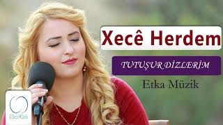 XECÊ HERDEM  TUTUŞUR DİZLERİM [upl. by Ecahc]