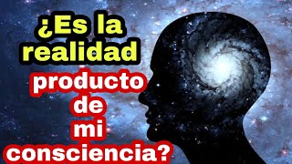 ¿Qué es el idealismo radical  Sábado filosófico 92 [upl. by Aicnom85]