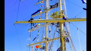 The Tall Ships Races  2024 [upl. by Scharf657]