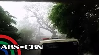 TV Patrol Daluyong tumama sa Sorsogon [upl. by Balcer89]