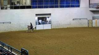 Appaloosa Nationals Working Cow Horse 2010 [upl. by Cavit29]