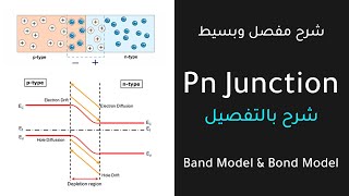 Pn Junction  Full Explanation [upl. by Niessuh]