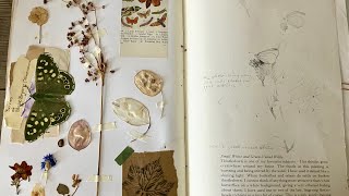 Nature Journal  Adding Dried Plant Specimens nature craft journaling driedflowers [upl. by Ayiak489]