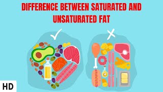 Difference Between Saturated And Unsaturated Fat [upl. by Finlay]