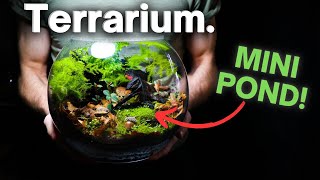 I Made an Ecosystem With a Mini Pond Inside Here’s How [upl. by Nyloc]