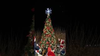 Santa Lights Christmas Tree  Leonardtown Tree Lighting 2024 [upl. by Kedezihclem220]