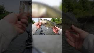 The Perfect Day Of Kayak Bass Fishing kayakfishing kayakbassfishing [upl. by Northway]