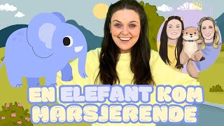 Molly og Mi 🐘 En elefant kom marsjerende 🐘 Barnesanger på norsk [upl. by Llenyar]