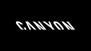 Review  Canyon Spectral 29 CF 8  Great geometry meets great suspension [upl. by Nork780]