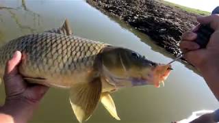 Burrendong Dam Fishing [upl. by Cchaddie]