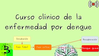 🦟Curso clínico de la enfermedad por dengue [upl. by Hsina]