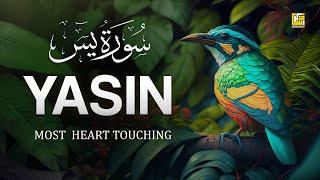 Worlds most beautiful Quran recitation of Surah Yasin Yaseen سورة يس  Zikrullah TV [upl. by Divadleahcim533]