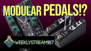 187 Gamechanger AUTO Pedals Reverb and Delay [upl. by Naneik483]