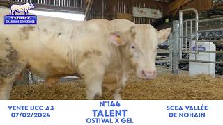 N°144 TALENT  SCEA VALLEE DE NOHAIN  OSTIVAL x GEL [upl. by Eilesor]