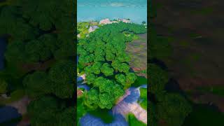 Destroying Wailing Woods 😈 fortnite [upl. by Stavro520]