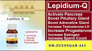 LepidiumQ  Action  Doses  Explained in UrduHindi [upl. by Jamie259]