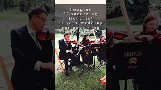 Imagine “Concerning Hobbits” as your wedding entrance song 🎻❤️ violin short discover lotr [upl. by Welbie]