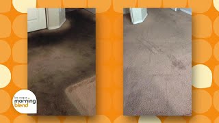 Zerorez Offers Carpet Cleaning Special for Holiday Season [upl. by Musser]