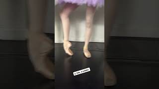 o look a pointe shoe [upl. by Graig]