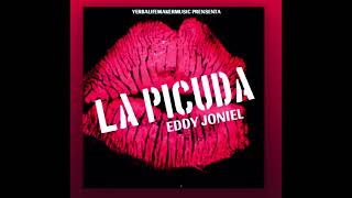 EDDY JONIEL  LA PICUDA  AUDIO OFFICIAL DANCEHALL ESMERALDEÑOS 🔥🔥🔥 [upl. by Plantagenet917]