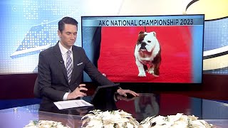 2023 American Kennel Club National Championship happening this weekend [upl. by Serilda]