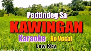 PEDTINDEG SA KAWINGAN  Nyt Lumenda karaokelyrics [upl. by Nydnarb]