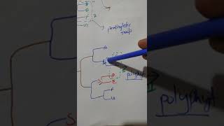 cladistic approach  polyphyletic group explained in hindi [upl. by Hephzipah]