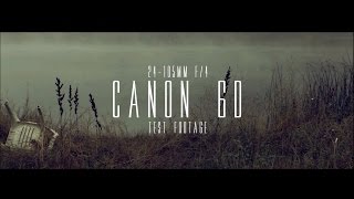 Canon 6D  24105mm F4 Test Footage [upl. by Bryce]