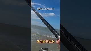 大家注意看 這男人太狠了釣魚山狗大shorts午仔魚遠投沉底 fishing [upl. by Kcired]