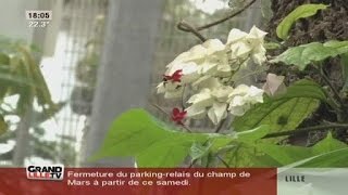 Visite du Jardin botanique de Tourcoing [upl. by Janerich]