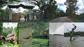 Road Trip from Bangalore to Kabini amp Stay Jungle Lodge Kabini River Lodge [upl. by Areehs]