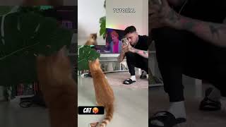 Cat 🐈 Dance 😂😂 [upl. by Nidnarb728]