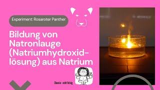 Bildung von Natronlauge Natriumhydroxidlösung aus Natrium Rosaroter Panther  mit Experiment [upl. by Bettencourt]