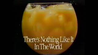 1988 Florida Orange Juice quotTheres Nothing Like It In The Worldquot TV Commercial [upl. by Hudgens878]