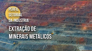 Conheça o setor de extração de minerais metálicos  2024 [upl. by Arahahs]