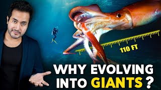 Why Are SEA CREATURES Evolving into Giants [upl. by Annohsak365]