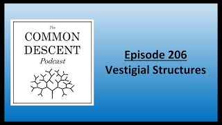 Episode 206  Vestigial Structures [upl. by Reivaj]