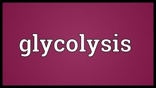 Glycolysis Meaning [upl. by Sessylu]